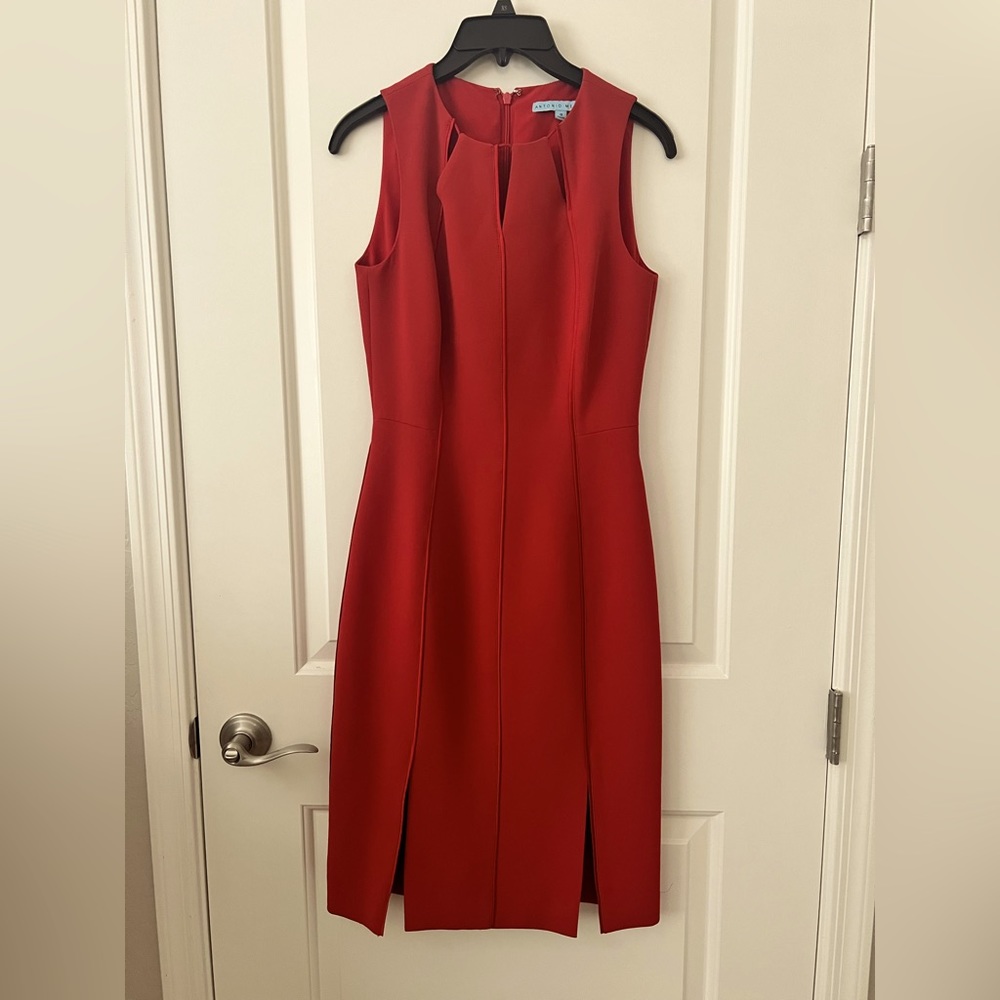 Burnt red/terracotta Antonio Melani Dress